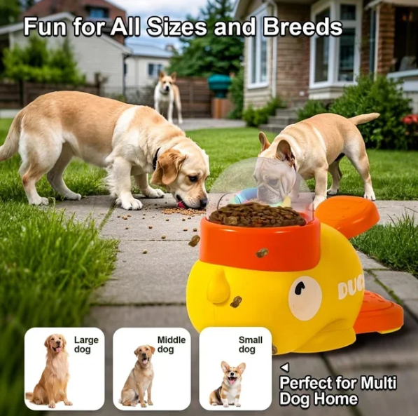 Duck Slow Feeder